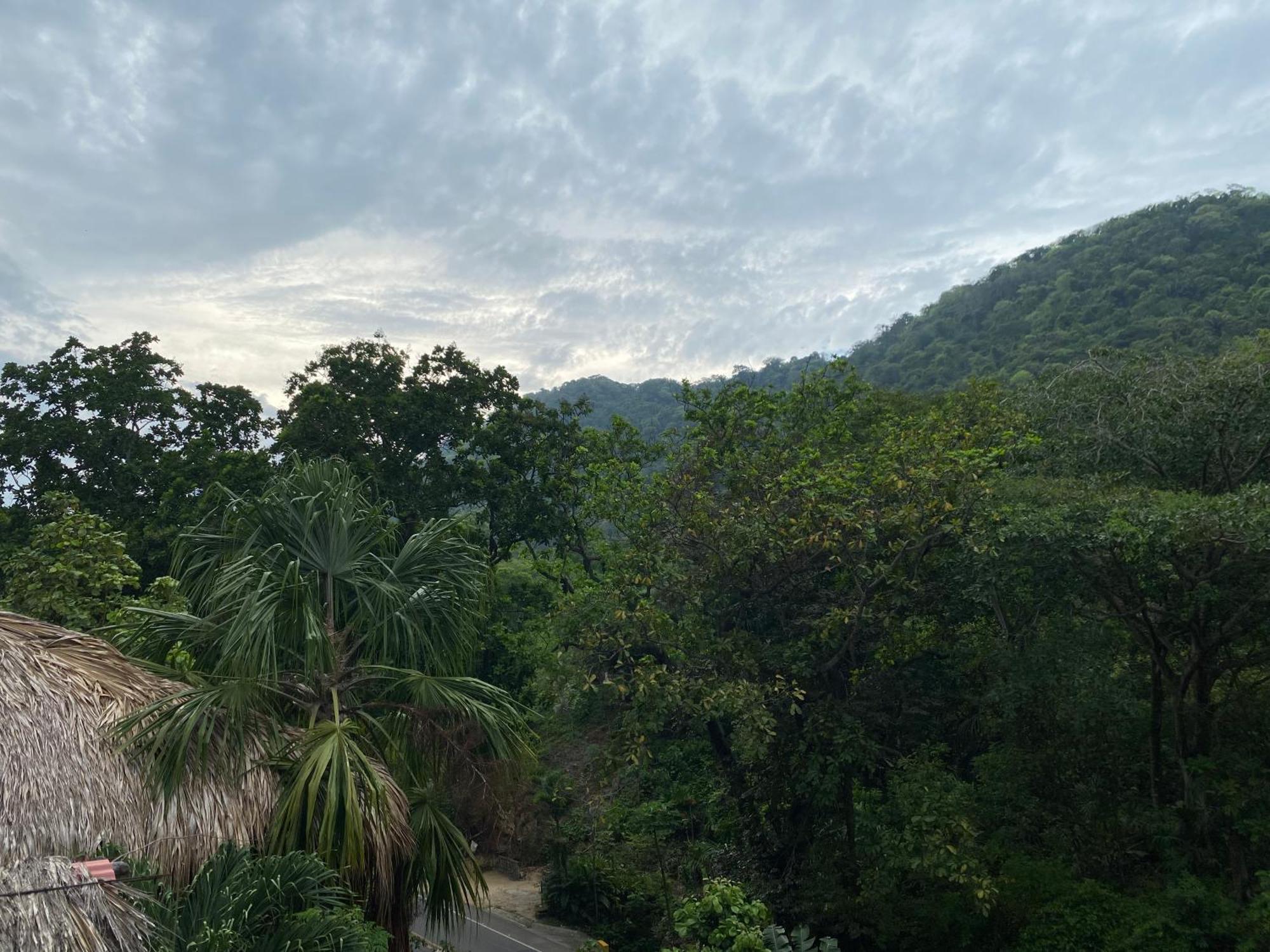 Eco Hostal La Perla Tayrona Zaino Eksteriør billede