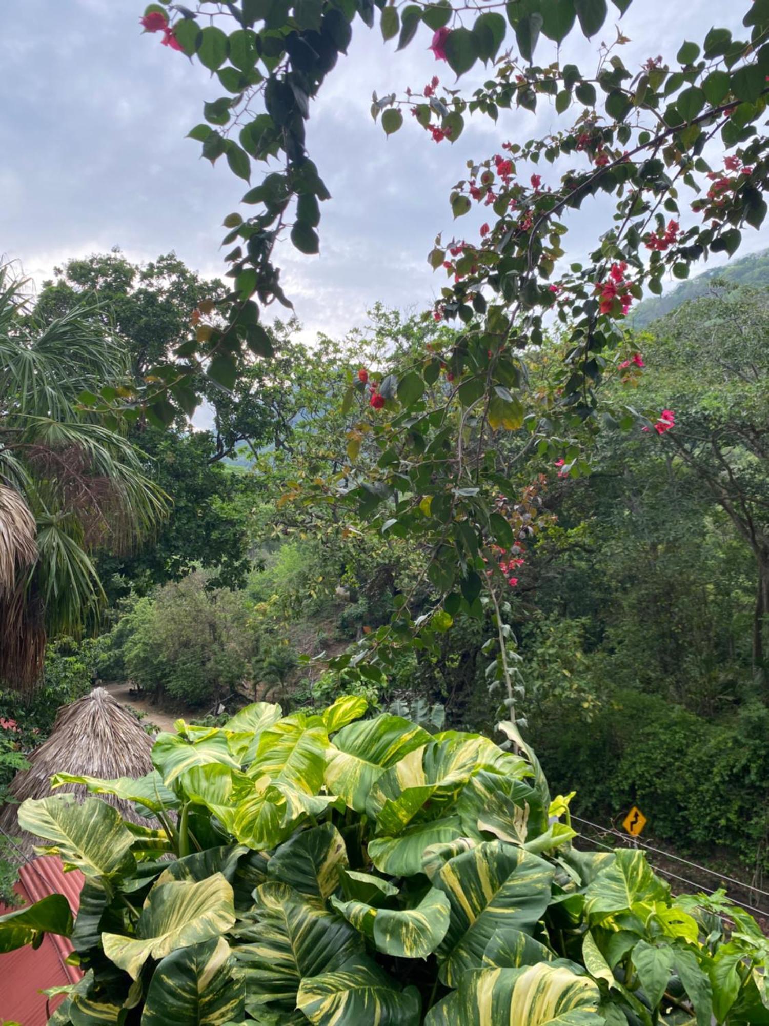 Eco Hostal La Perla Tayrona Zaino Eksteriør billede