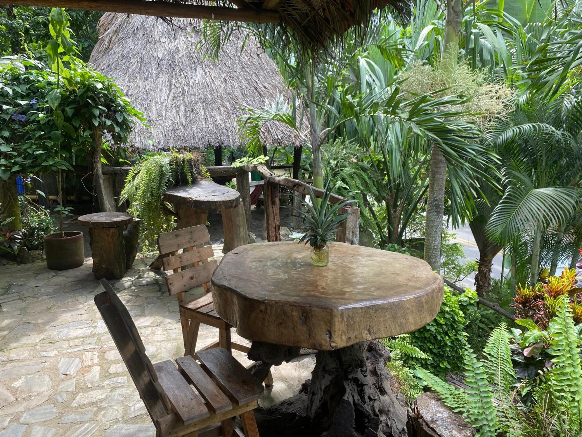 Eco Hostal La Perla Tayrona Zaino Eksteriør billede